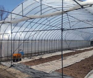 育苗ハウスの準備をしています②。