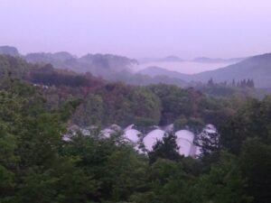 土耕のハウスの定植の準備をしています④。