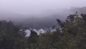 秋ですかねー③。